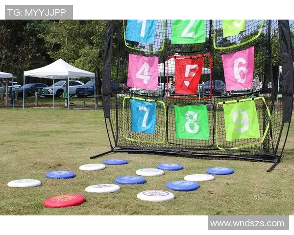 西安飞盘队运营创新探索：从团队建设到市场推广的全方位变革之路