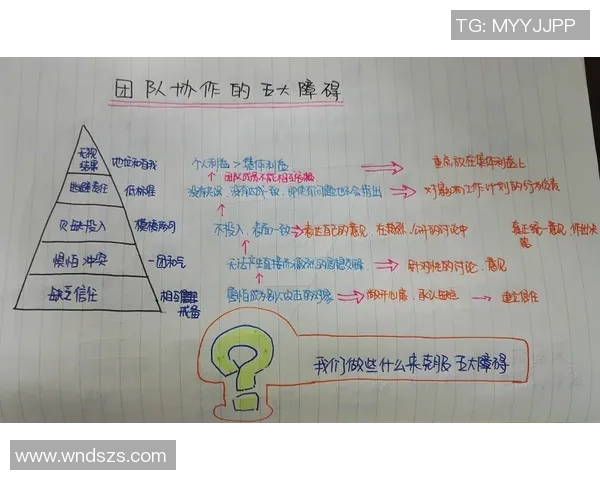 上海乒乓球队的团队协作之道：凝聚力与默契的完美结合